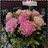 lakeviewflorist